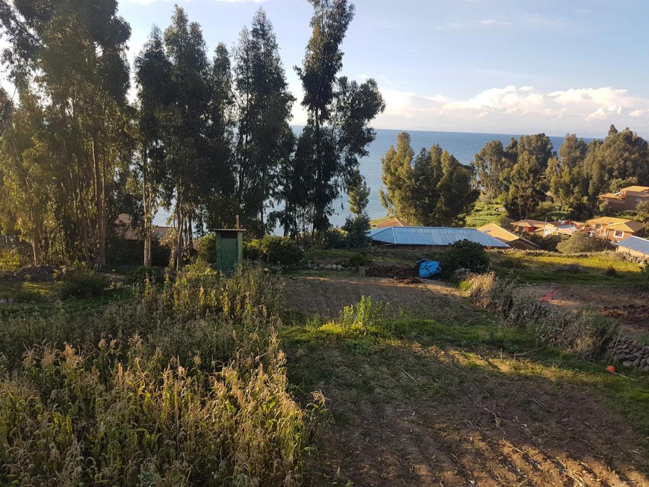 Musqoy Wasi De Gonzalo Villa Ocosuyo Exteriör bild